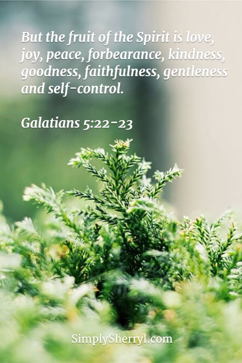 Verse for the day: Galatians 5:22-23