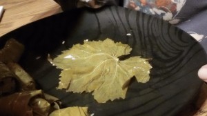 Hamburger and Rice stuffed grape leaves (Dolmades)