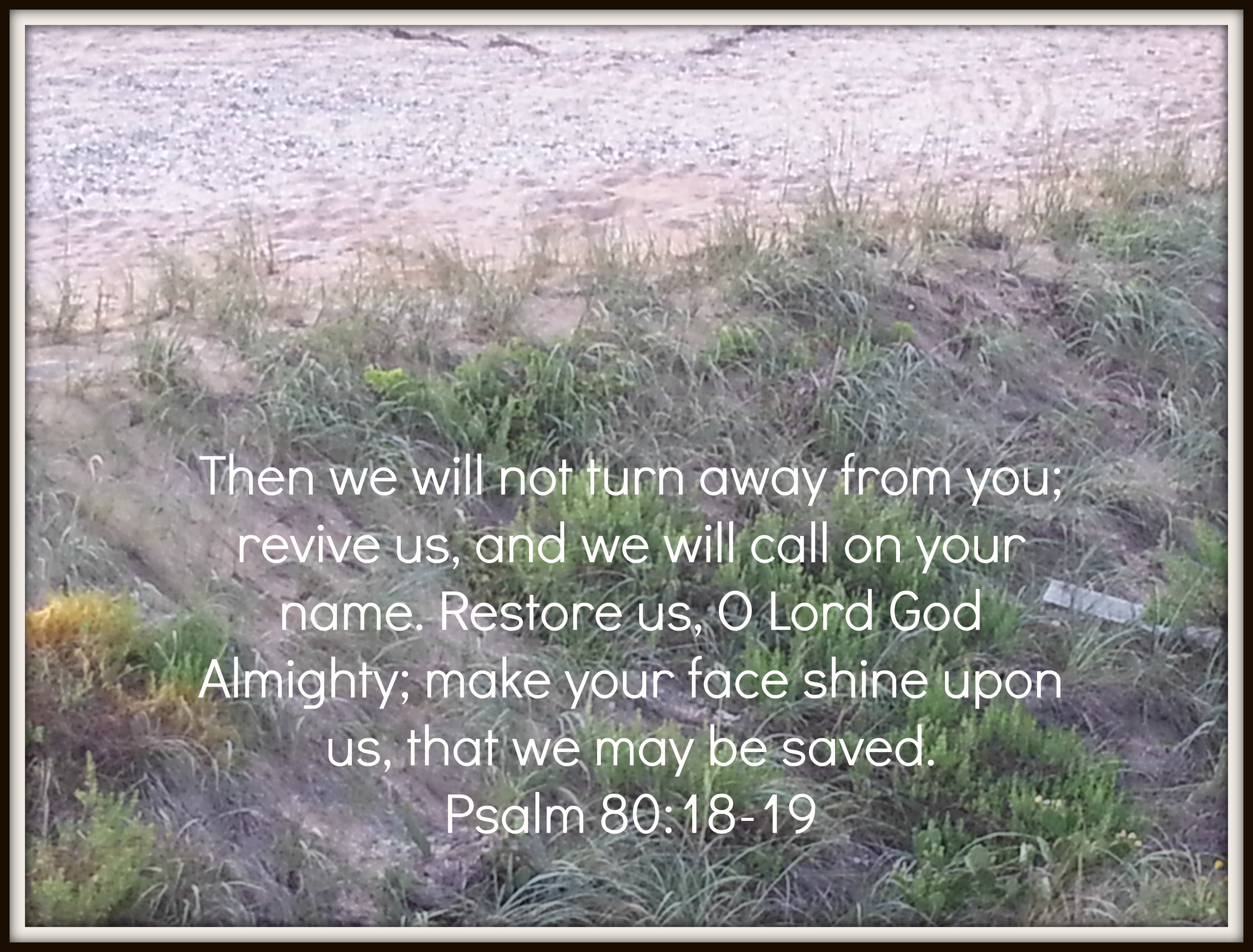 Psalm 80:18-19 ~ Restore My Soul