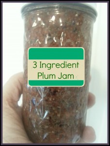 3 Ingredient Plum Jam