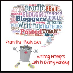 Writing Prompts From The Trash Can 8/5
