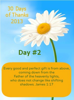 30 Days of Thanks 2013 - Day 2