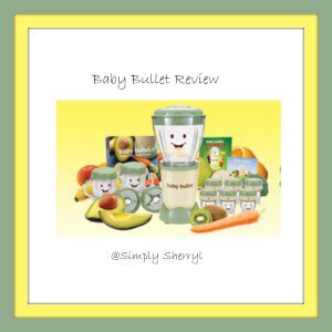 Baby Bullet Care System Review