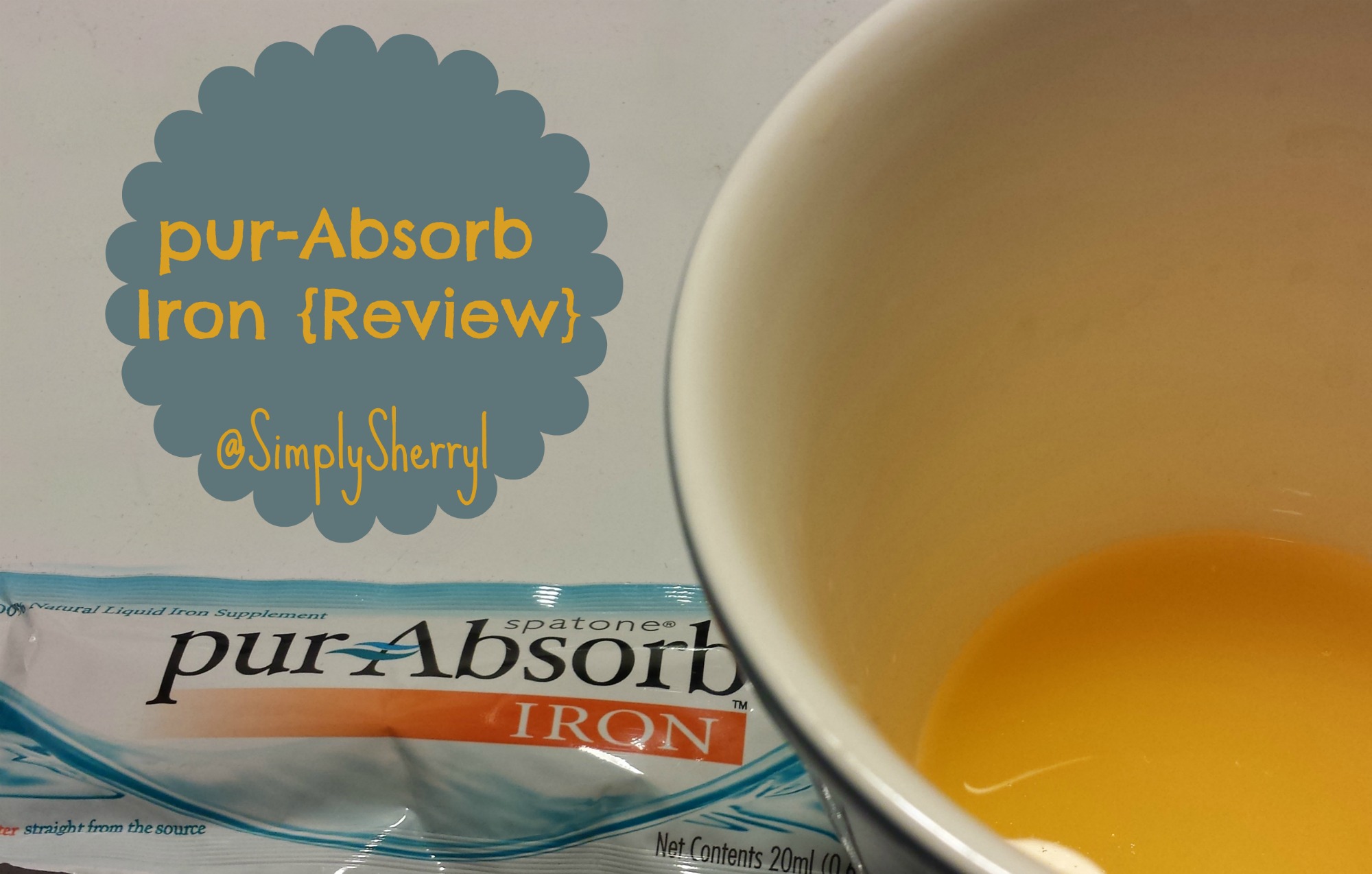 pur-Absorb Iron {Review}
