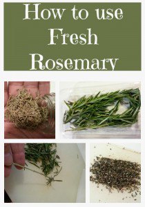 How to use Fresh Rosemary