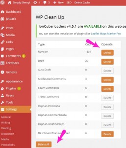 How to Clean Up Your WordPress Database