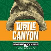 Turtle Canyon Now Open at Newport Aquarium