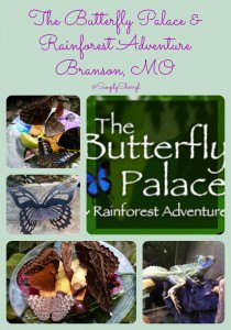 The Butterfly Palace in Branson, MO  #ExploreBranson