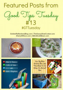 Good Tips Tuesday #13