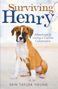 Surviving Henry: Adventures in Loving a Canine Catastrophe 