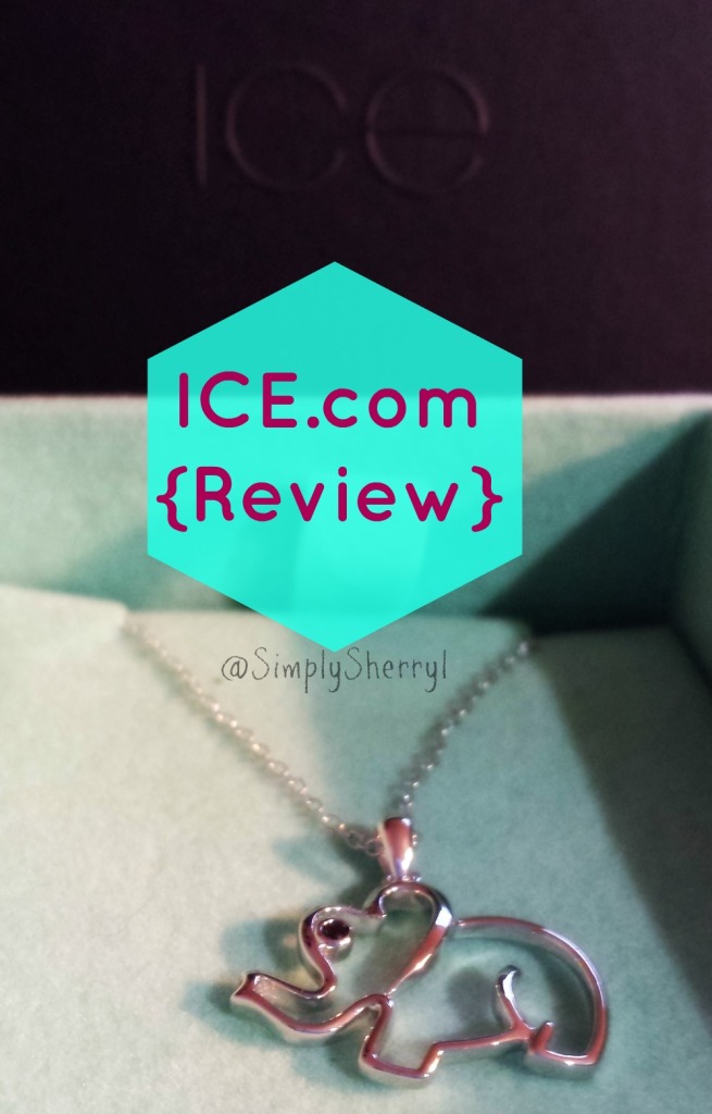 ICE.com {Review}