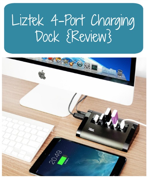 Liztek 4-Port Charging Dock