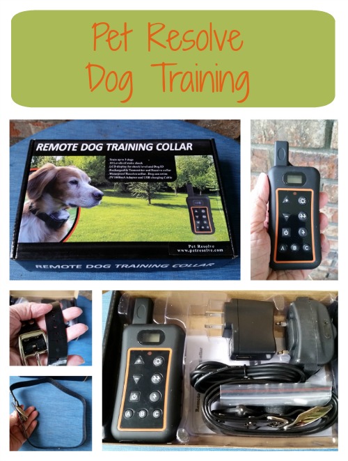 Pet Resolve Dog Training
