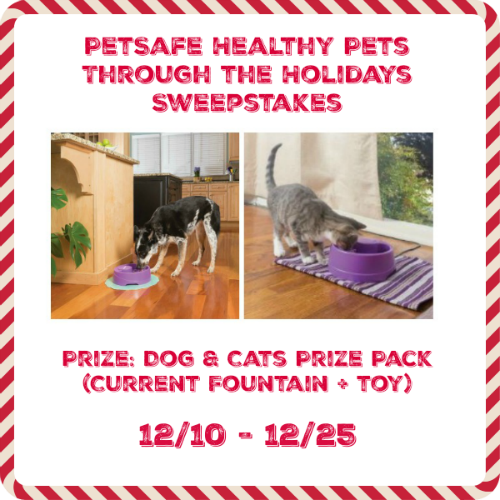 PetSafe Healthy Pets Through the Holidays