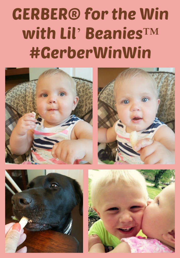 Thankfully our little ones are willing to eat anything that doesn't eat them first. For my crew, it is Gerber for the Win with Lil' Beanies! ‪#‎GerberWinWin‬ ‪#‎sp‬