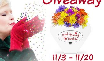 Welcome to The MemoVase Giveaway