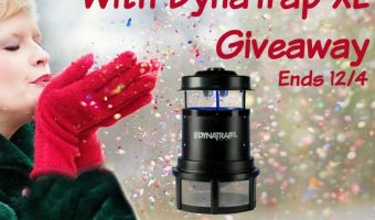 Keep The Bugs Away With DynaTrap XL Giveaway