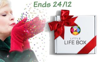 Little Life Box Giveaway