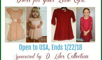 Vintage Inspired Girls Dresses by D. Liles Collection