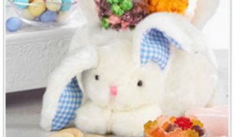 The Popcorn Factory Plush Bunny Basket Giveaway