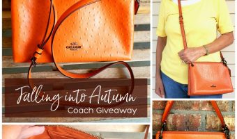 Win a Coach Bag from Simply Sherryl