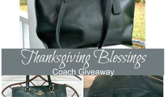 Thanksgiving Blessings Coach Bag Giveaway