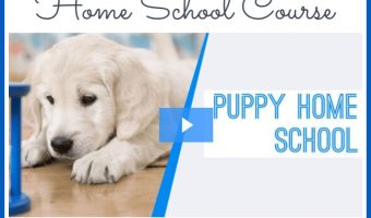 The Puppy Home School Course